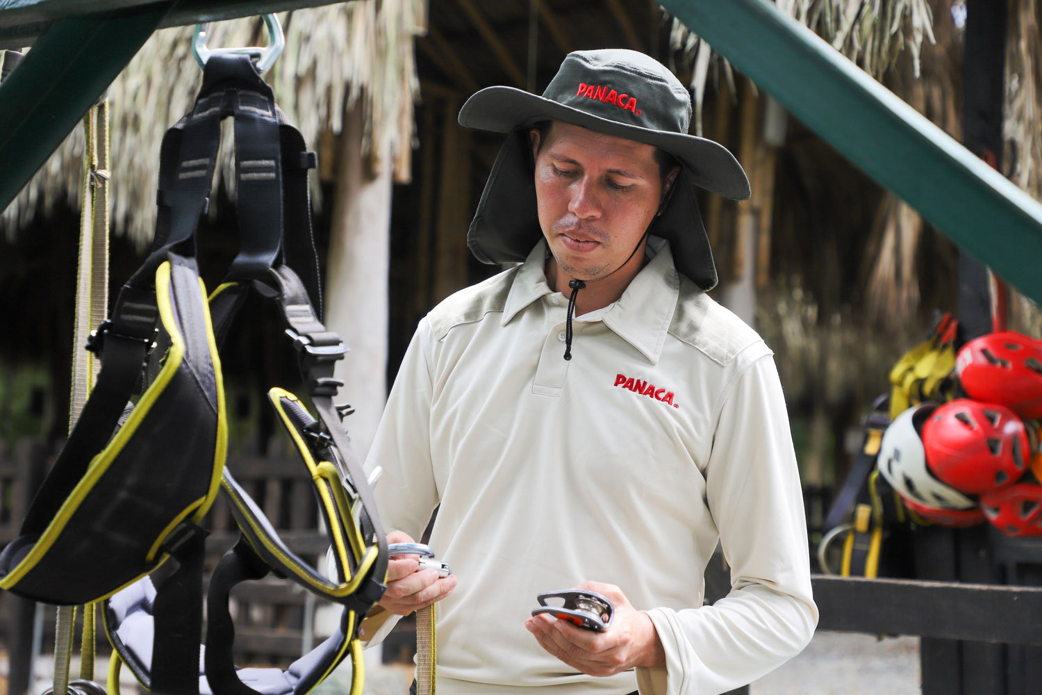 imagenCarruselPAnaca