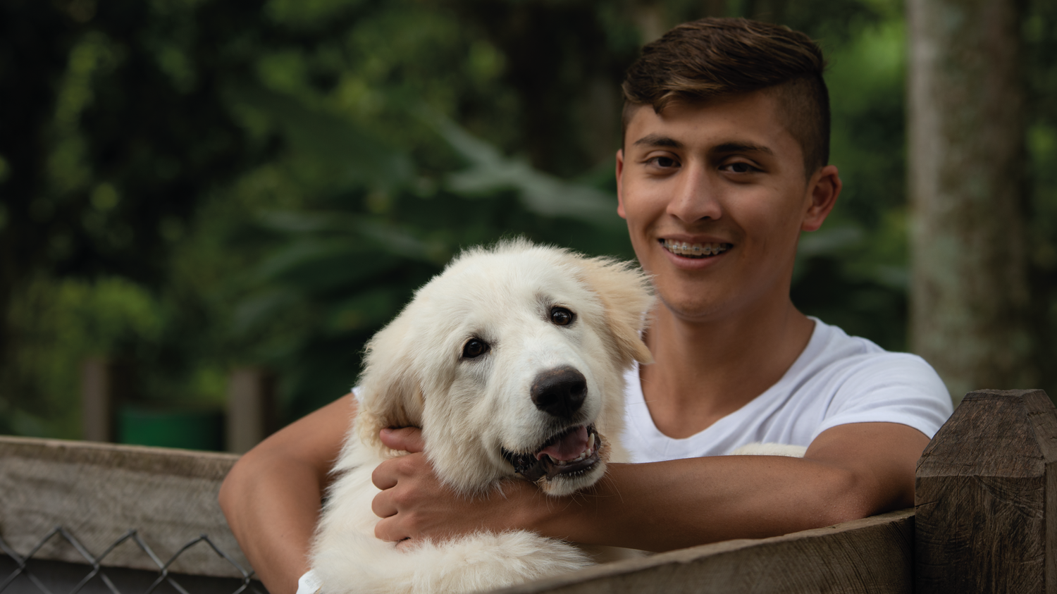 imagenCarruselPAnaca