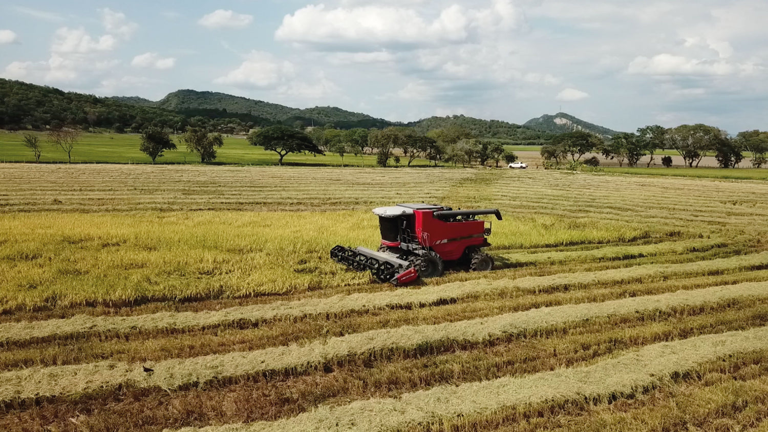 imagenCarruselPAnaca