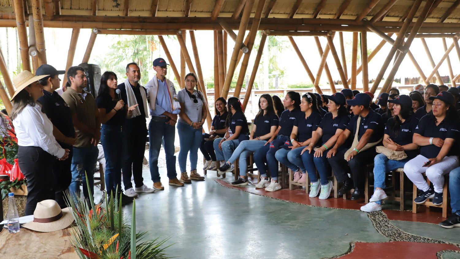 imagenCarruselPAnaca