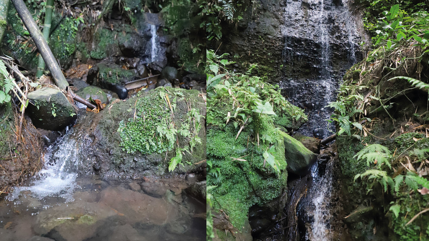 imagenCarruselPAnaca