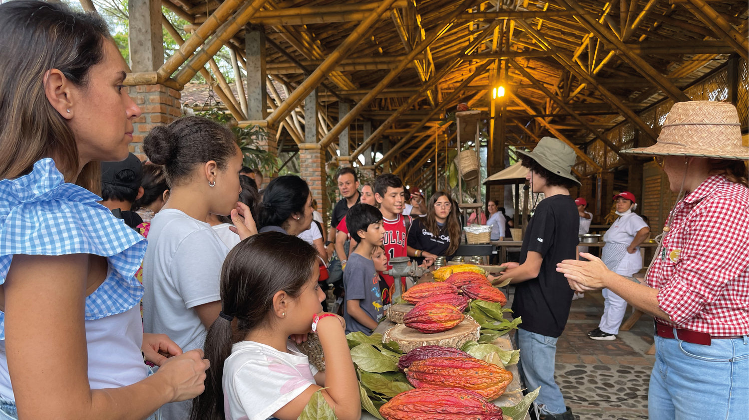 imagenCarruselPAnaca