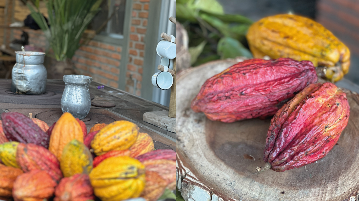 imagenCarruselPAnaca