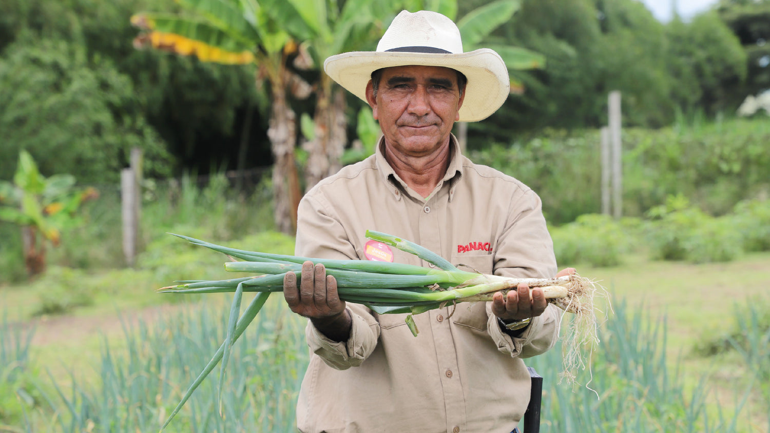 imagenCarruselPAnaca