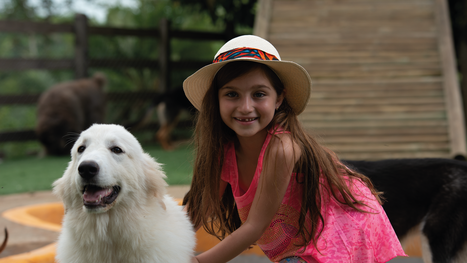 imagenCarruselPAnaca