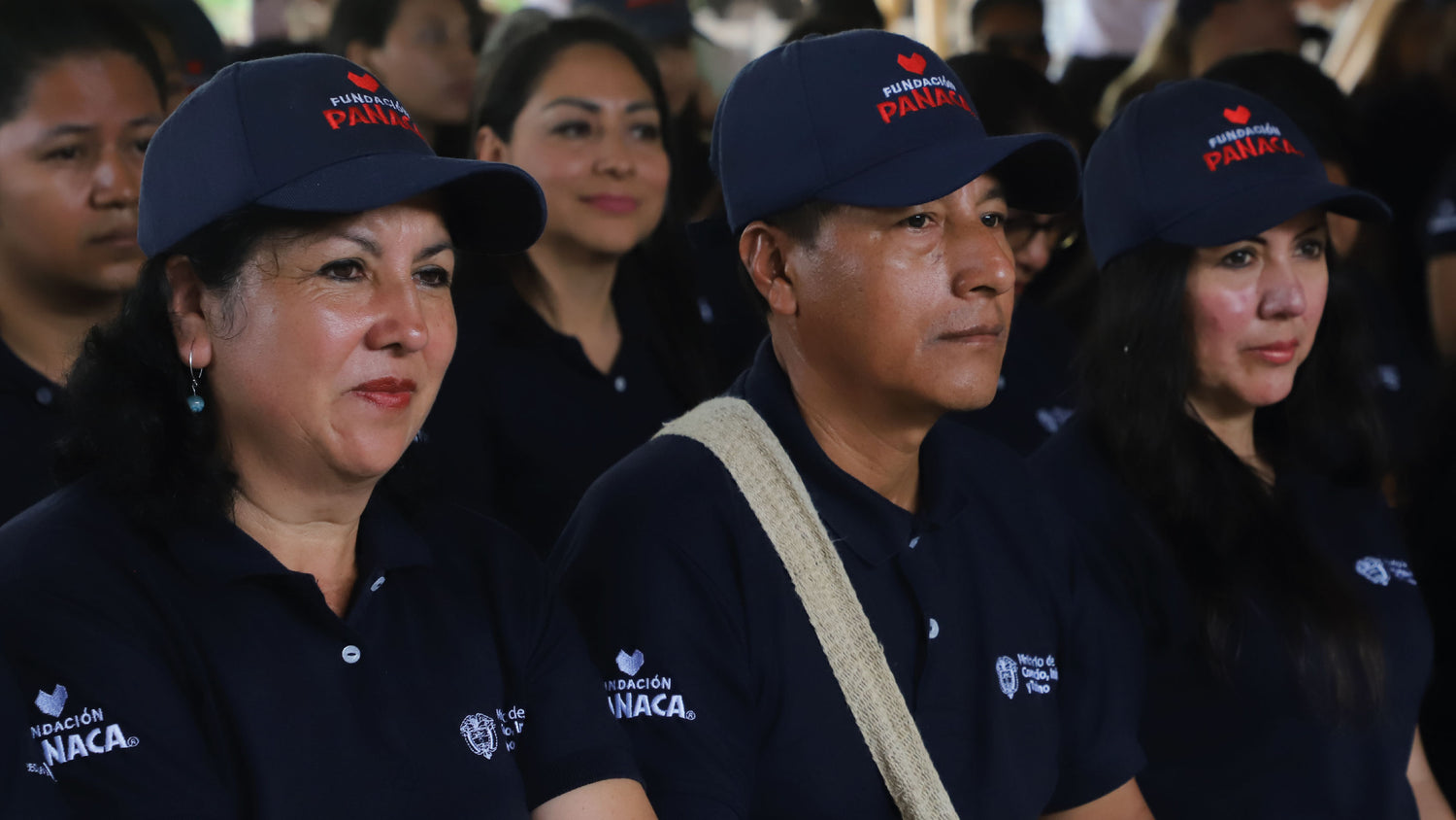 imagenCarruselPAnaca