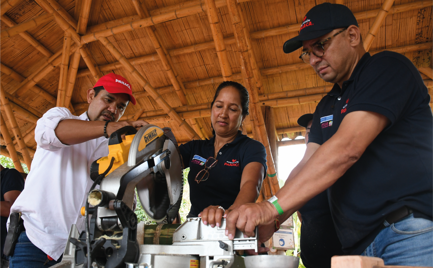 imagenCarruselPAnaca