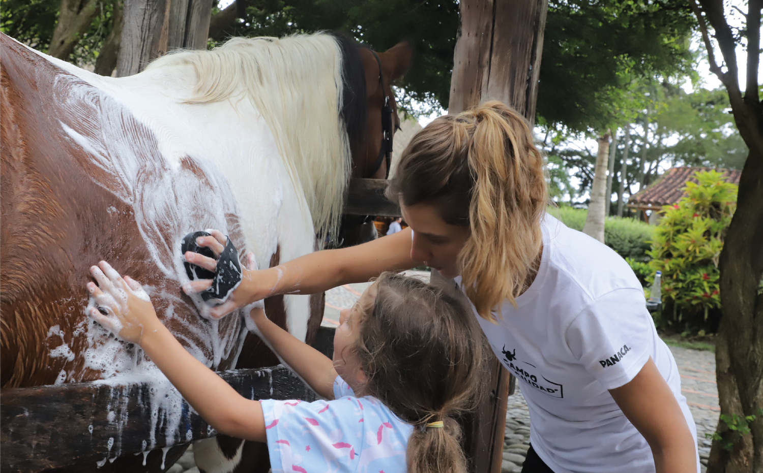 imagenCarruselPAnaca