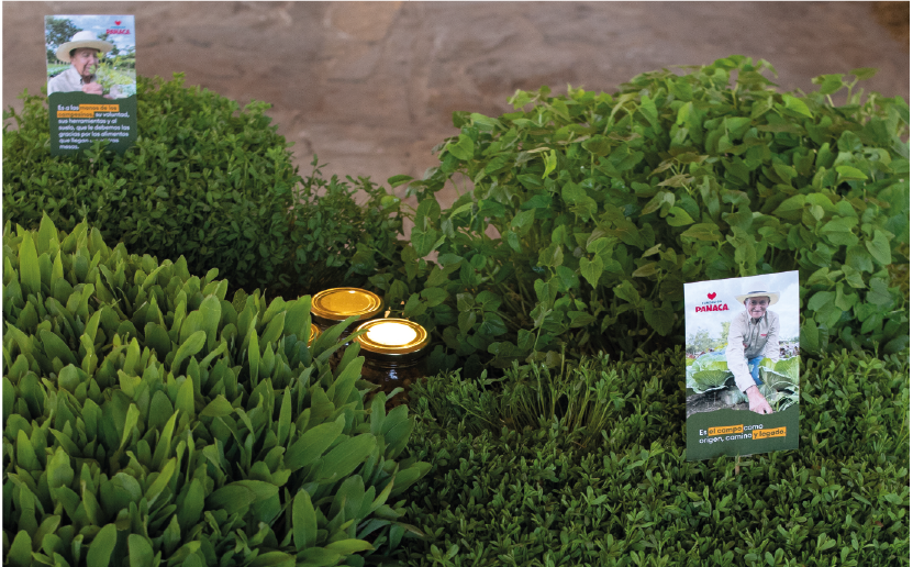 imagenCarruselPAnaca