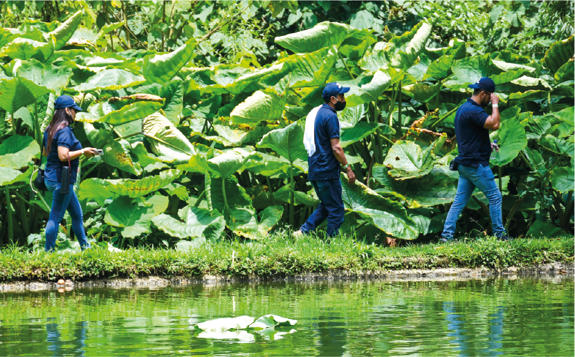 imagenCarruselPAnaca