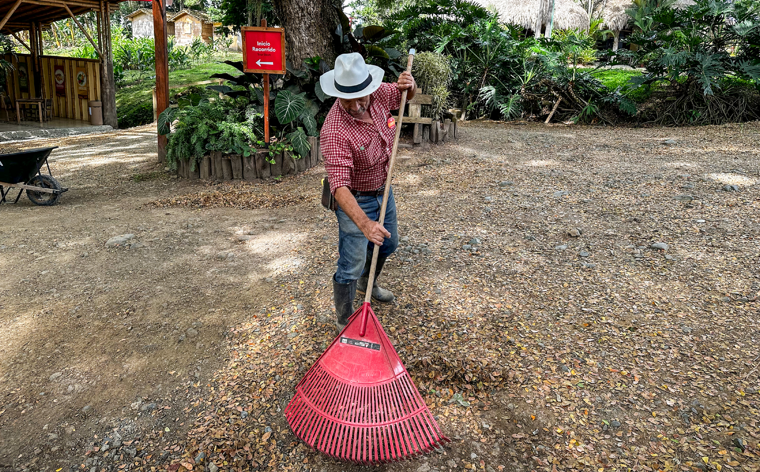 imagenCarruselPAnaca