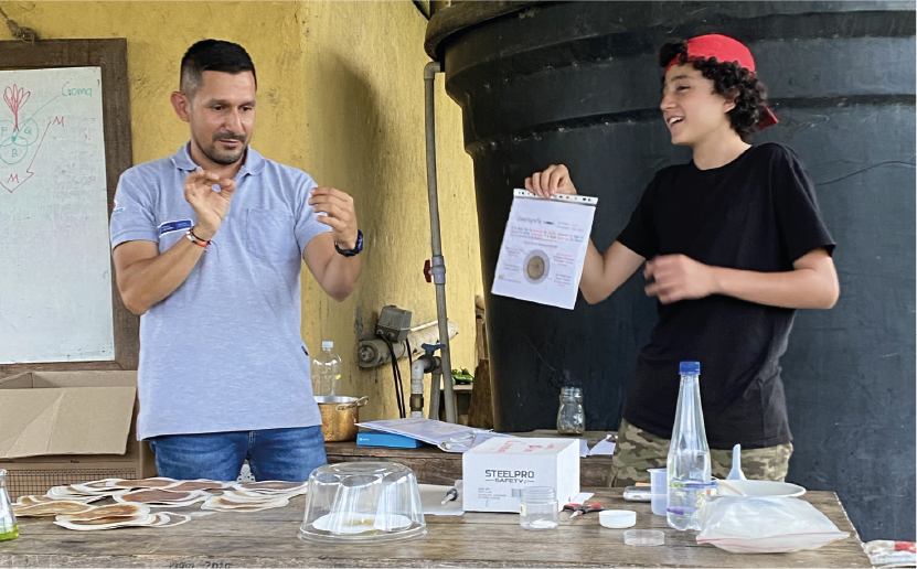 imagenCarruselPAnaca