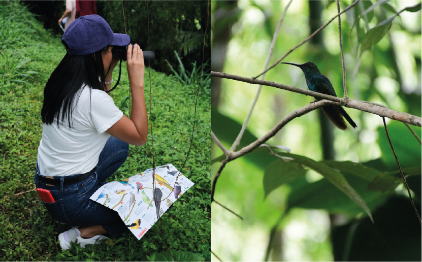 imagenCarruselPAnaca