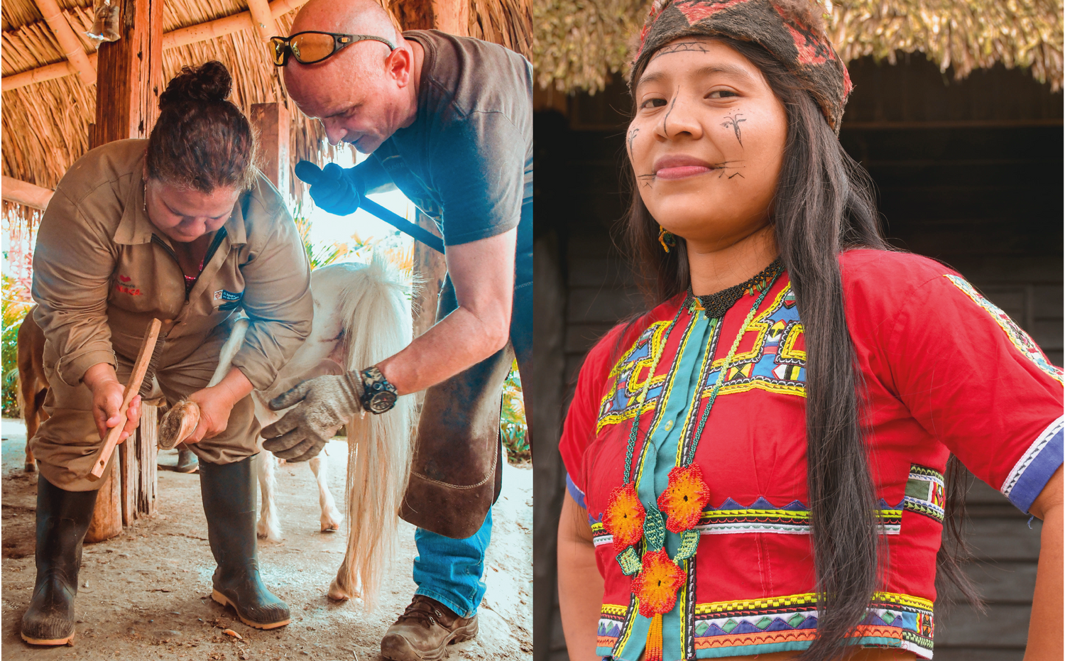 imagenCarruselPAnaca