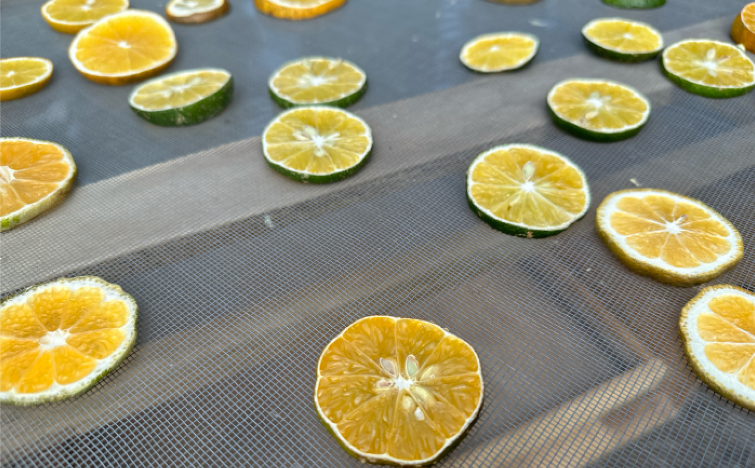 imagenCarruselPAnaca