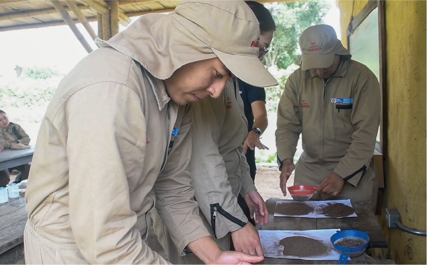 imagenCarruselPAnaca