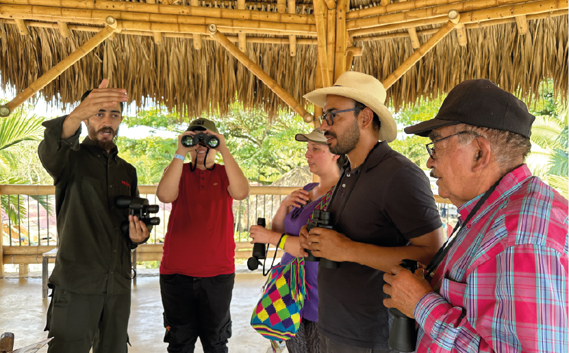 imagenCarruselPAnaca