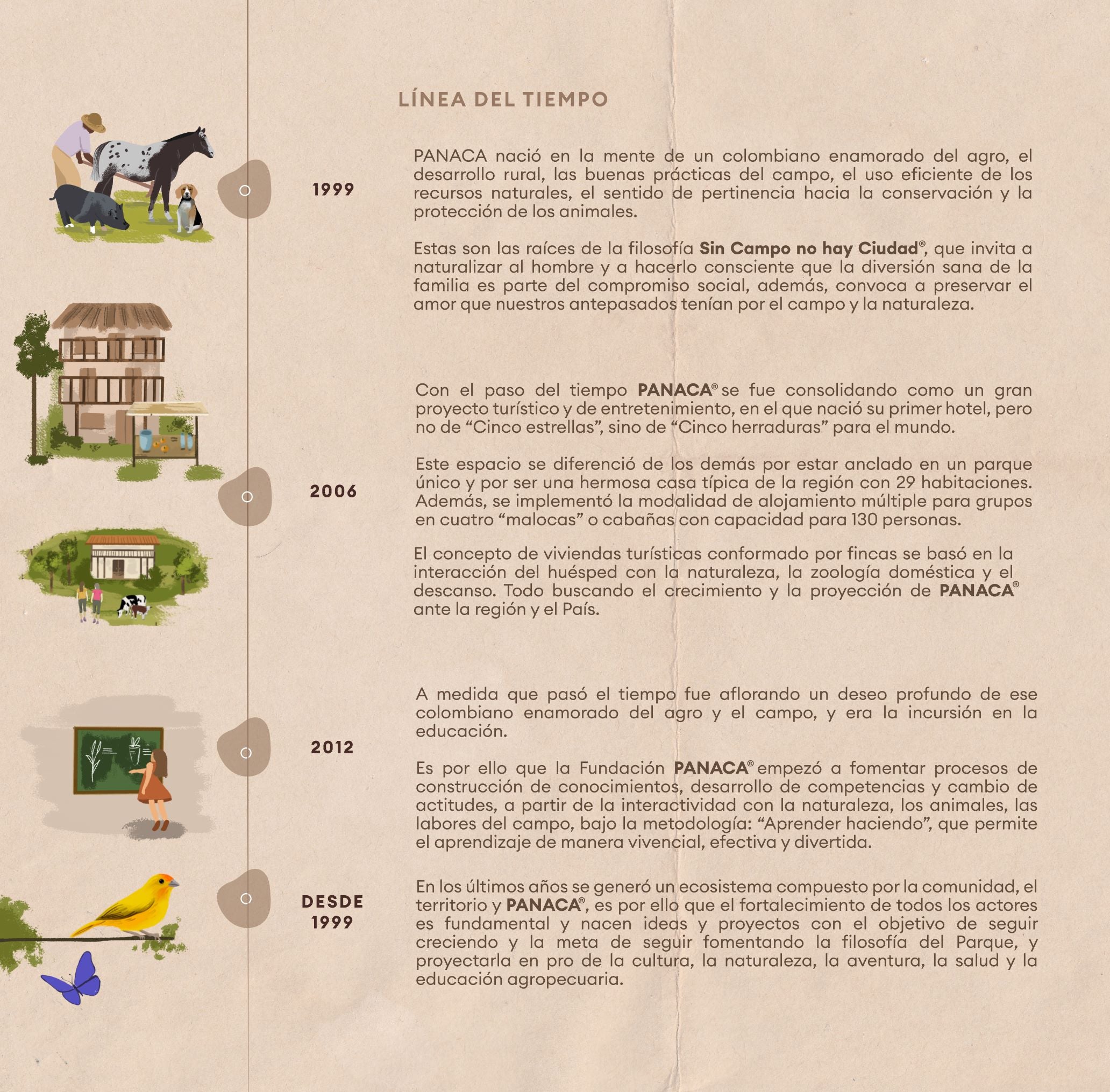 PanacaLineaDelTiempo