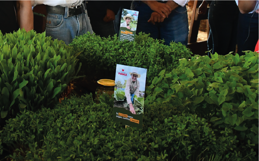 imagenCarruselPAnaca