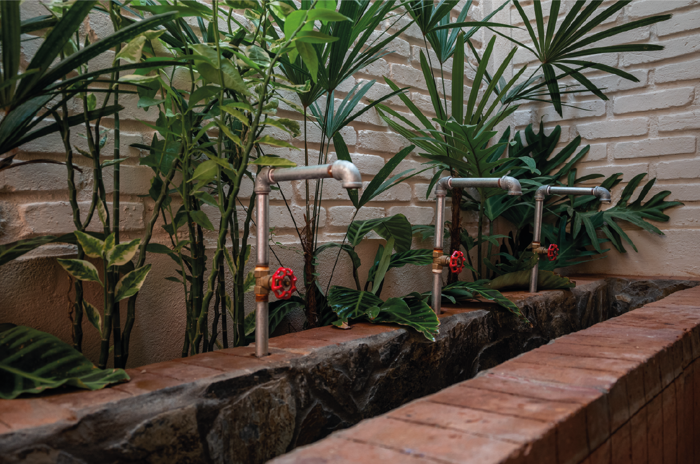 imagenCarruselPAnaca