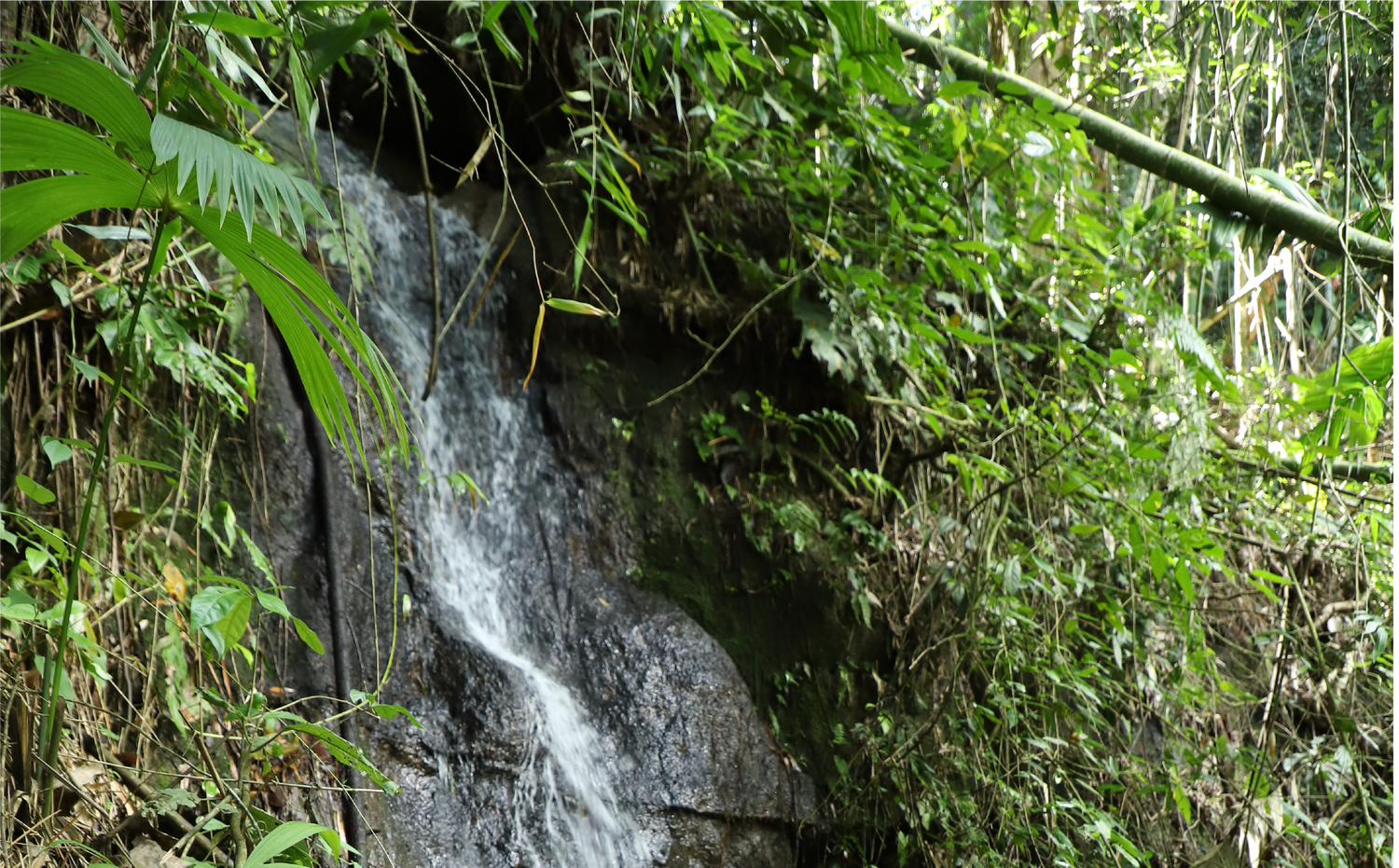 imagenCarruselPAnaca