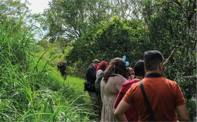 imagenCarruselPAnaca