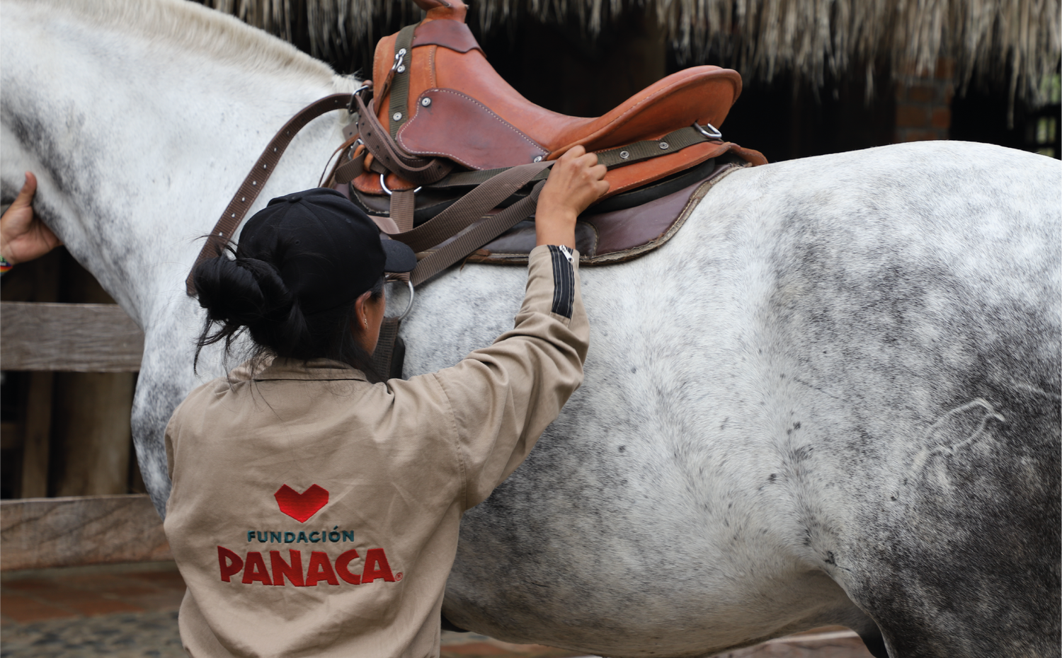 imagenCarruselPAnaca