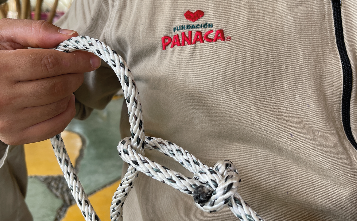 imagenCarruselPAnaca