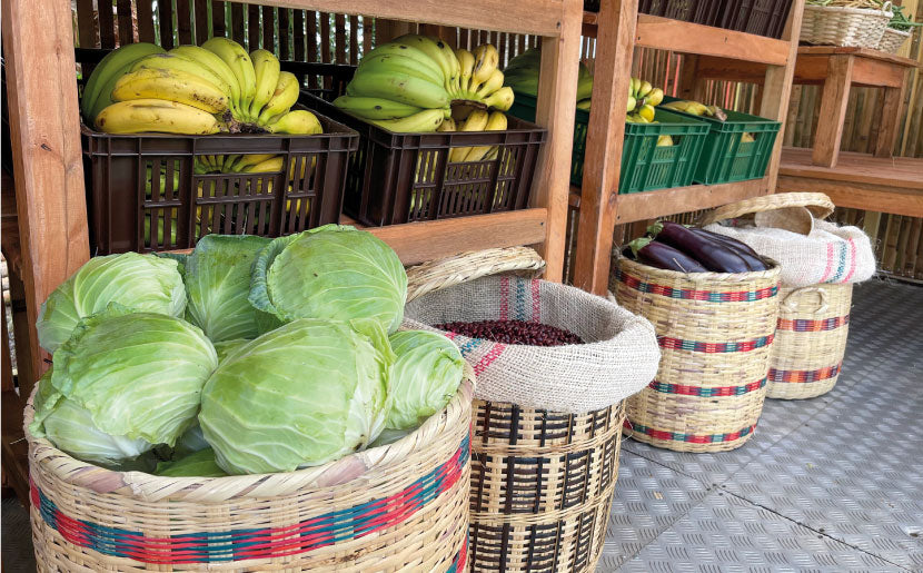 imagenCarruselPAnaca