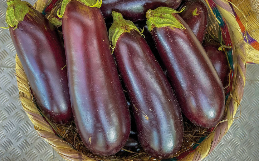 imagenCarruselPAnaca