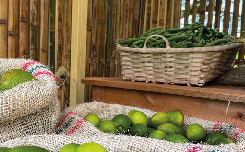 imagenCarruselPAnaca